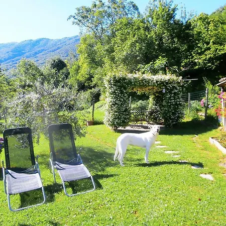 Liliana Holiday home Faggeto Lario